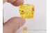Great Looking Giant SPRINGTAIL in BALTIC AMBER 432