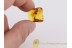 Unique CENTIPEDES in ACTION ! FIGHTING in BALTIC AMBER 479