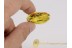 Lithobiidae STONE CENTIPEDE 10mm in BALTIC AMBER 88