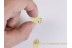 Blood Feeding BLACK FLY Simuliidae in Genuine BALTIC AMBER