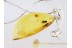 FOSSIL Caddisfly in BALTIC AMBER Pendant Silver Chain 18