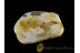 Royal white Polished Large Genuine BALTIC AMBER Stone