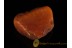 ANTIQUE BUTTERSCOTCH Large Genuine BALTIC AMBER Stone